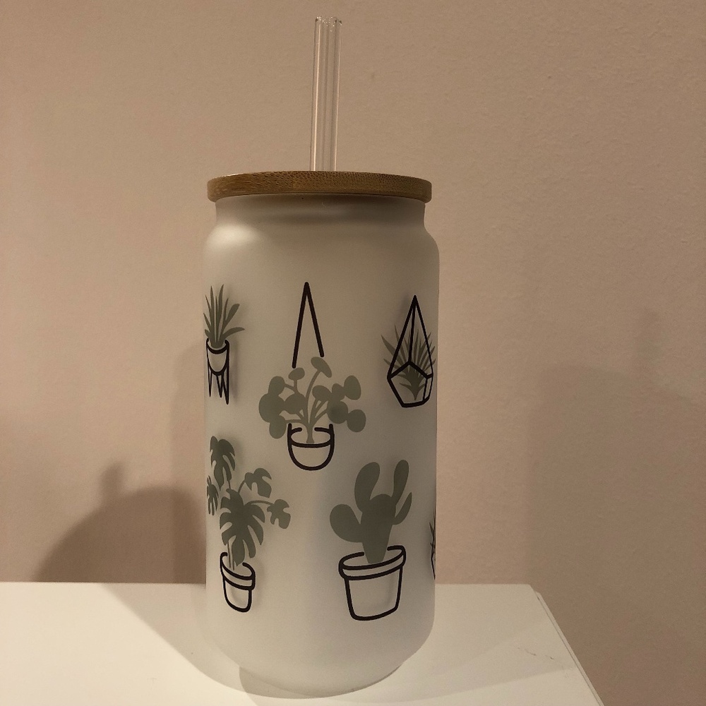 NWT Frosted Glass House Plants Reusable Cup Glass Can with Straw and Bamboo Lid